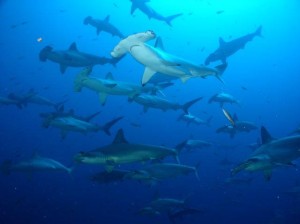 1239413_10203580282016300_1062054624_n