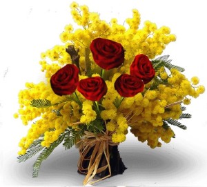 rose e mimose